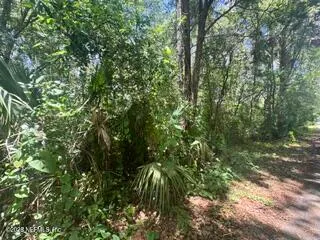 $27,000 | 205 Washington Avenue, Green Cove Springs, FL 32043