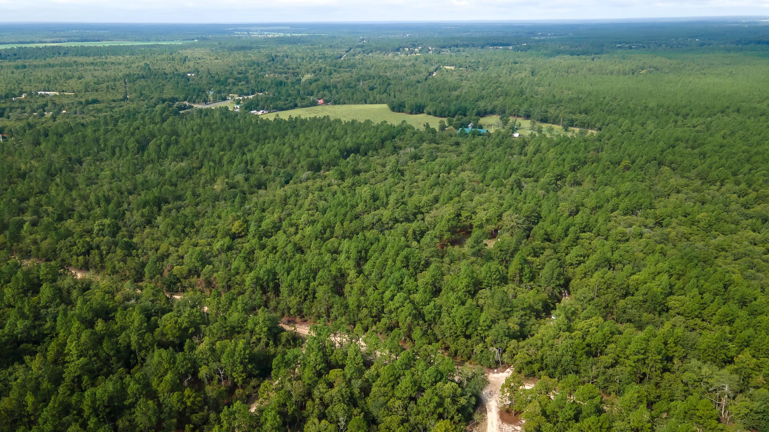 1023 Windsor Road Windsor, SC 29856 - Photo 3 of 13