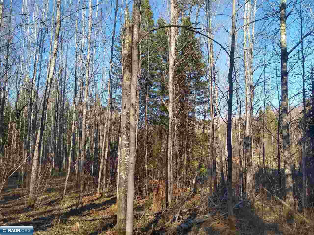 61-xxx Itasca Road Cook, MN 55723 - Photo 2 of 7 Gallery Image 2
