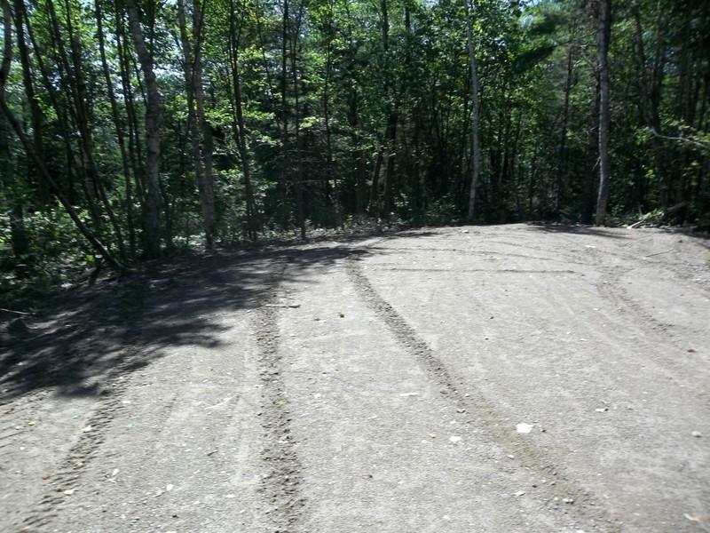 Lot #3 Birch Point Road Cooper, ME 04657 - Photo 7 of 8 100_9399