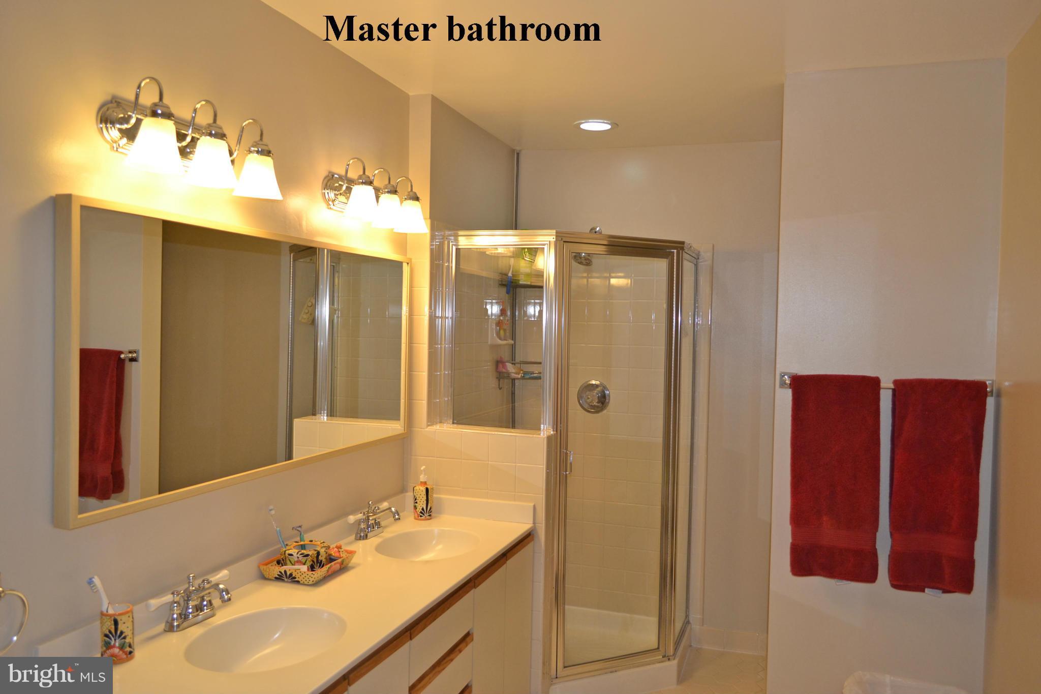 2012 Merrifields Drive Silver Spring, MD 20906 - Photo 13 of 30 Separate shower in master bathroom