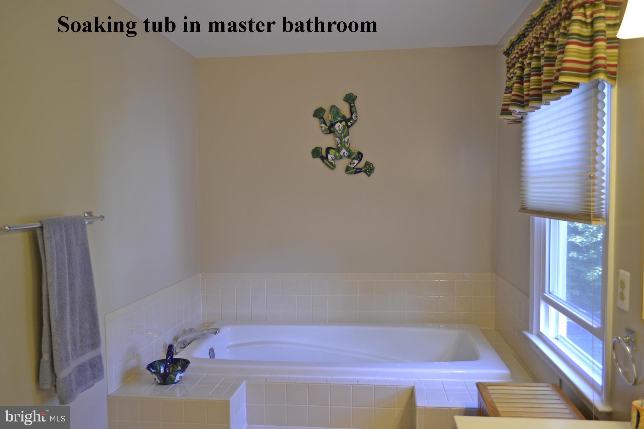 2012 Merrifields Drive Silver Spring, MD 20906 - Photo 14 of 30 Master bath soaking tub