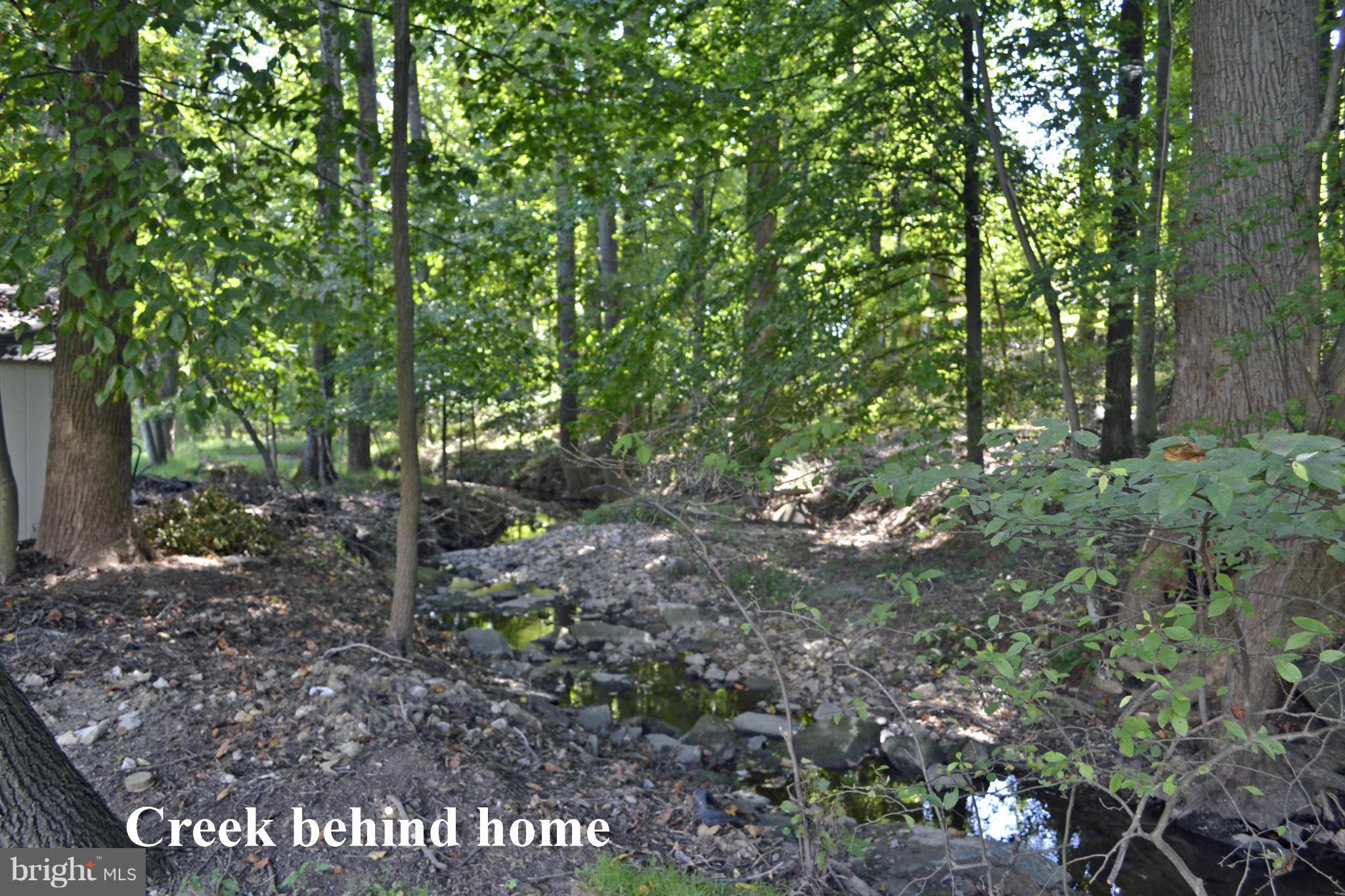 2012 Merrifields Drive Silver Spring, MD 20906 - Photo 25 of 30 Creek behind home