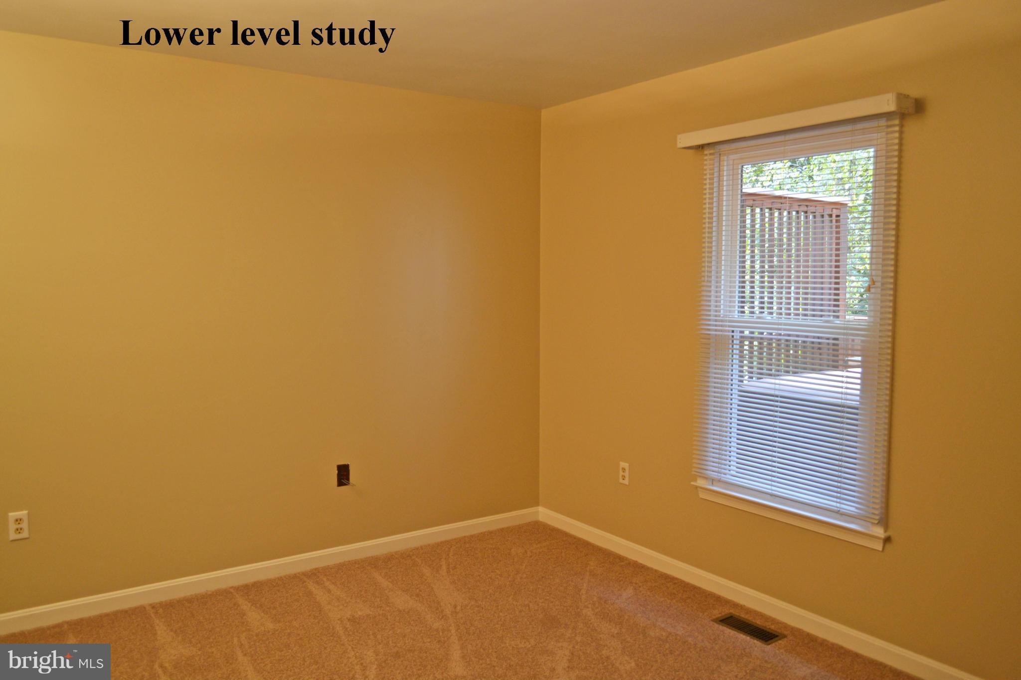 2012 Merrifields Drive Silver Spring, MD 20906 - Photo 8 of 30 Study off recreation room
