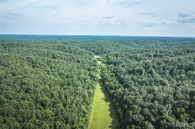 $2,950,000 | 3800 Cr-4080, Salem, MO 65560