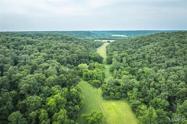 $2,950,000 | 3800 Cr-4080, Salem, MO 65560