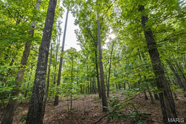 $2,950,000 | 3800 Cr-4080, Salem, MO 65560