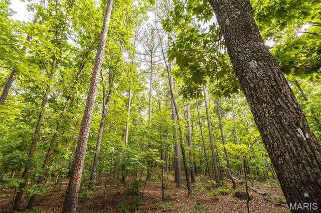 $2,950,000 | 3800 Cr-4080, Salem, MO 65560