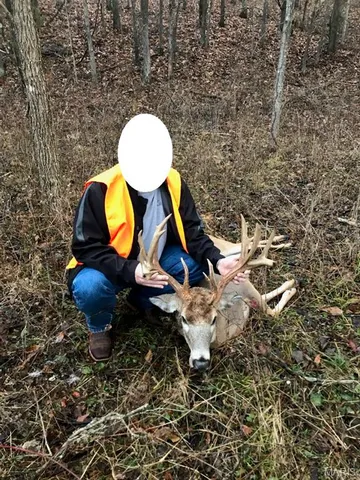 $2,950,000 | 3800 Cr-4080, Salem, MO 65560