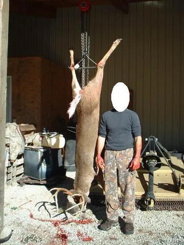 $2,950,000 | 3800 Cr-4080, Salem, MO 65560