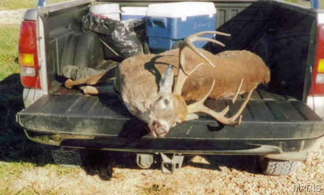 $2,950,000 | 3800 Cr-4080, Salem, MO 65560