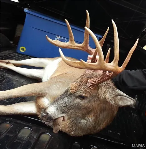 $2,950,000 | 3800 Cr-4080, Salem, MO 65560