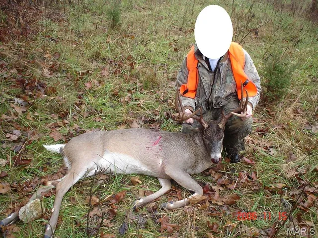 $2,950,000 | 3800 Cr-4080, Salem, MO 65560