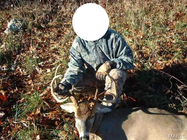 $2,950,000 | 3800 Cr-4080, Salem, MO 65560