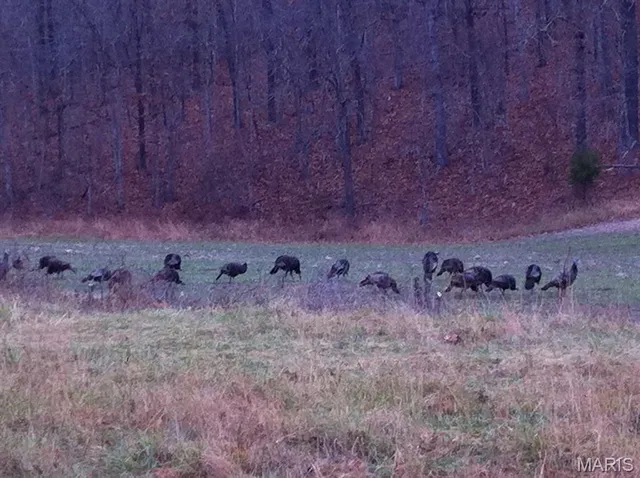 $2,950,000 | 3800 Cr-4080, Salem, MO 65560