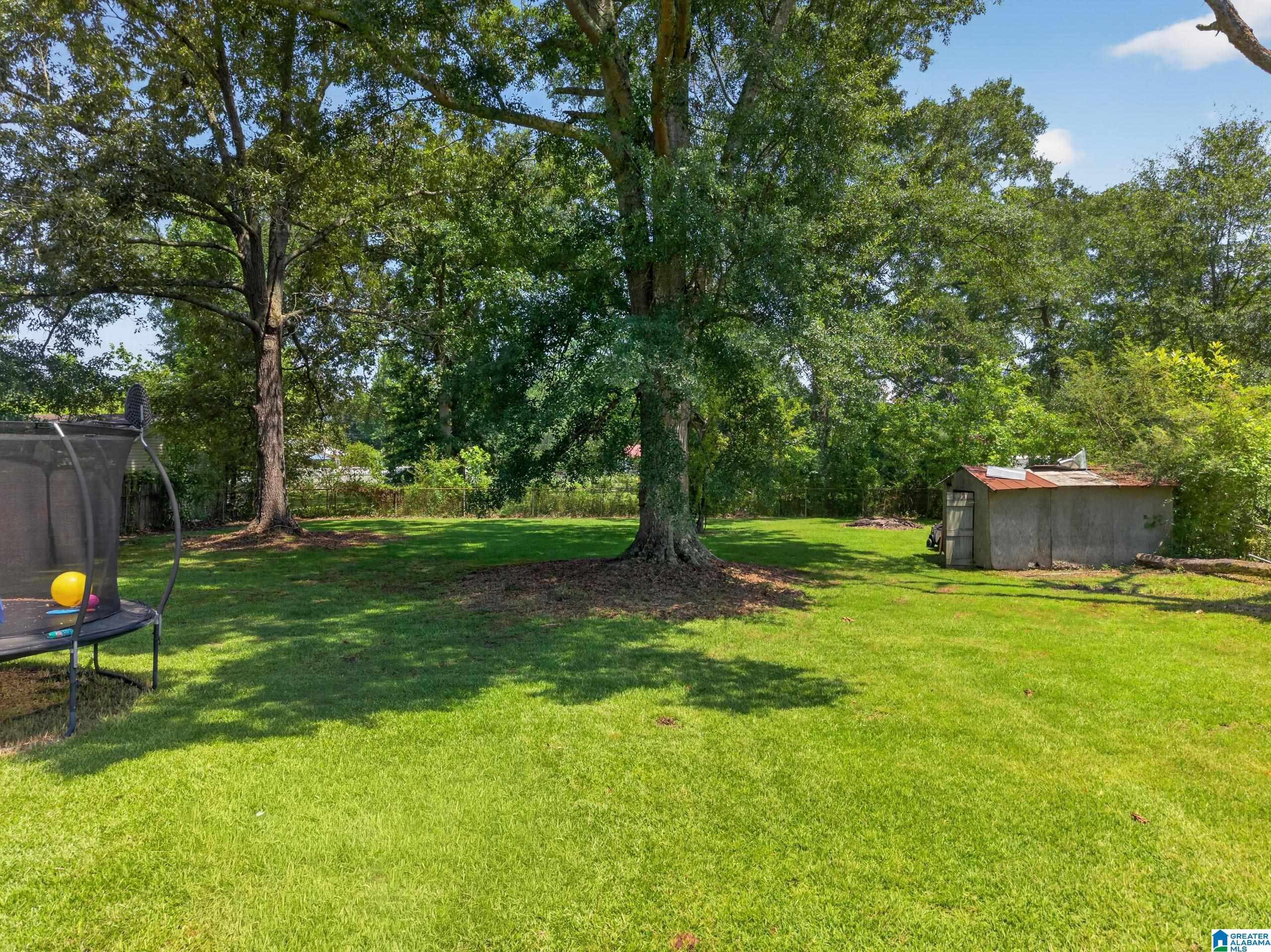 415 Lester Street Glencoe, AL 35905 - Photo 39 of 46