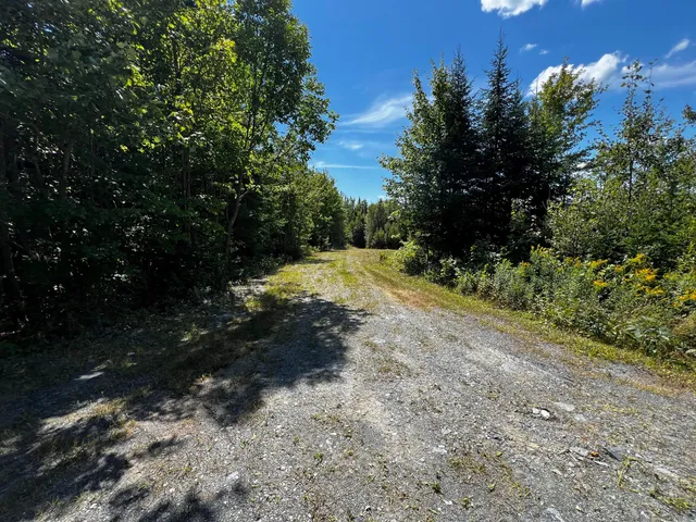 $159,995 | Lot 5-5&4 Lot 5-5&4 Bushey Road, Greenville, ME 04441
