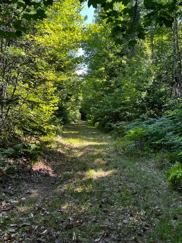 $159,995 | Lot 5-5&4 Lot 5-5&4 Bushey Road, Greenville, ME 04441