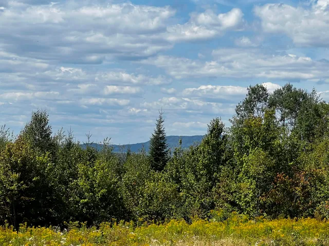 $159,995 | Lot 5-5&4 Lot 5-5&4 Bushey Road, Greenville, ME 04441