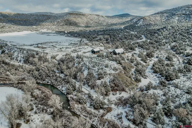 a view of a dry space with lots of bushes