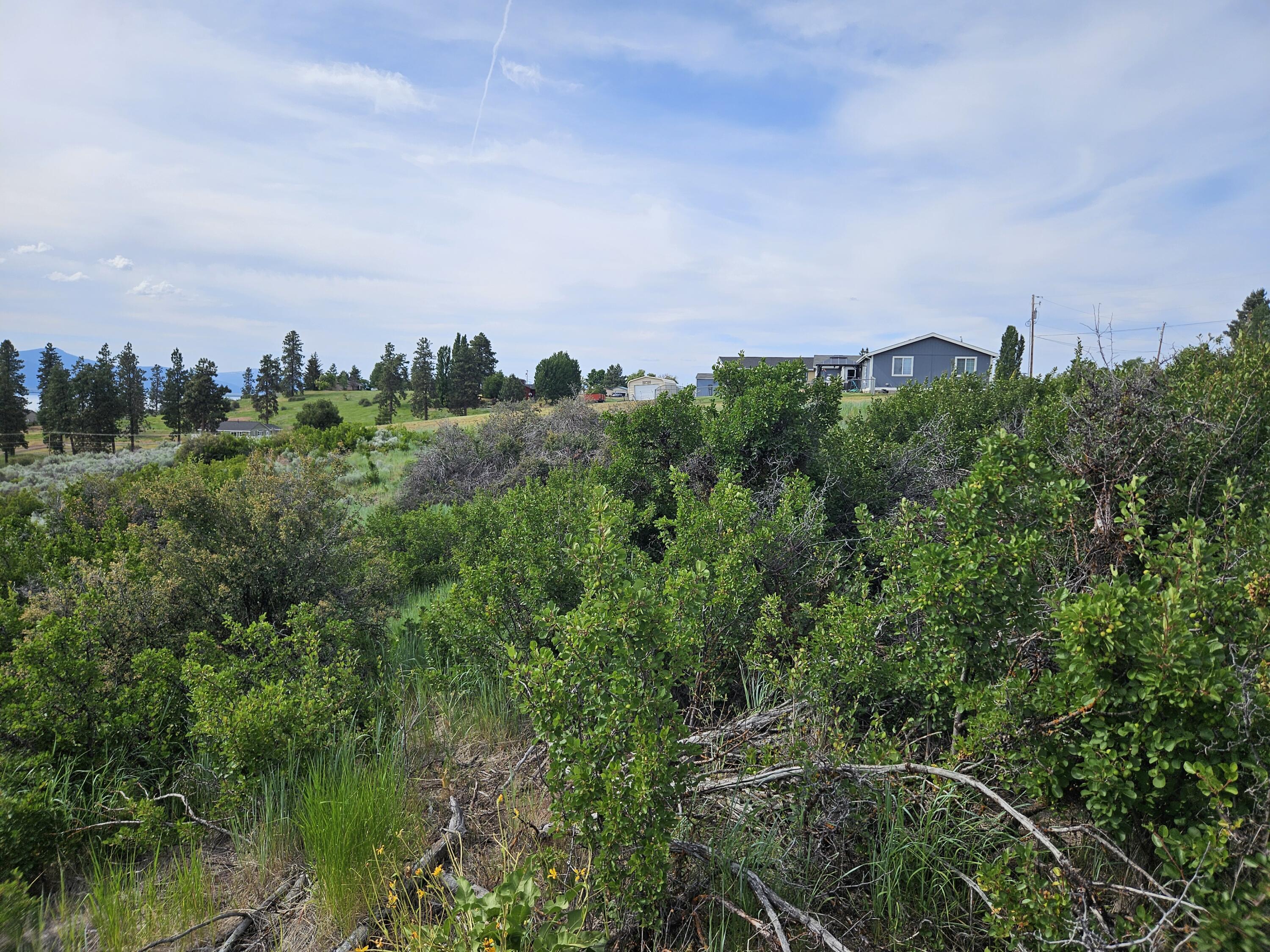 0 Pleasant View Road, Unit LOT 37 Chiloquin, OR 97624 - Photo 4 of 15