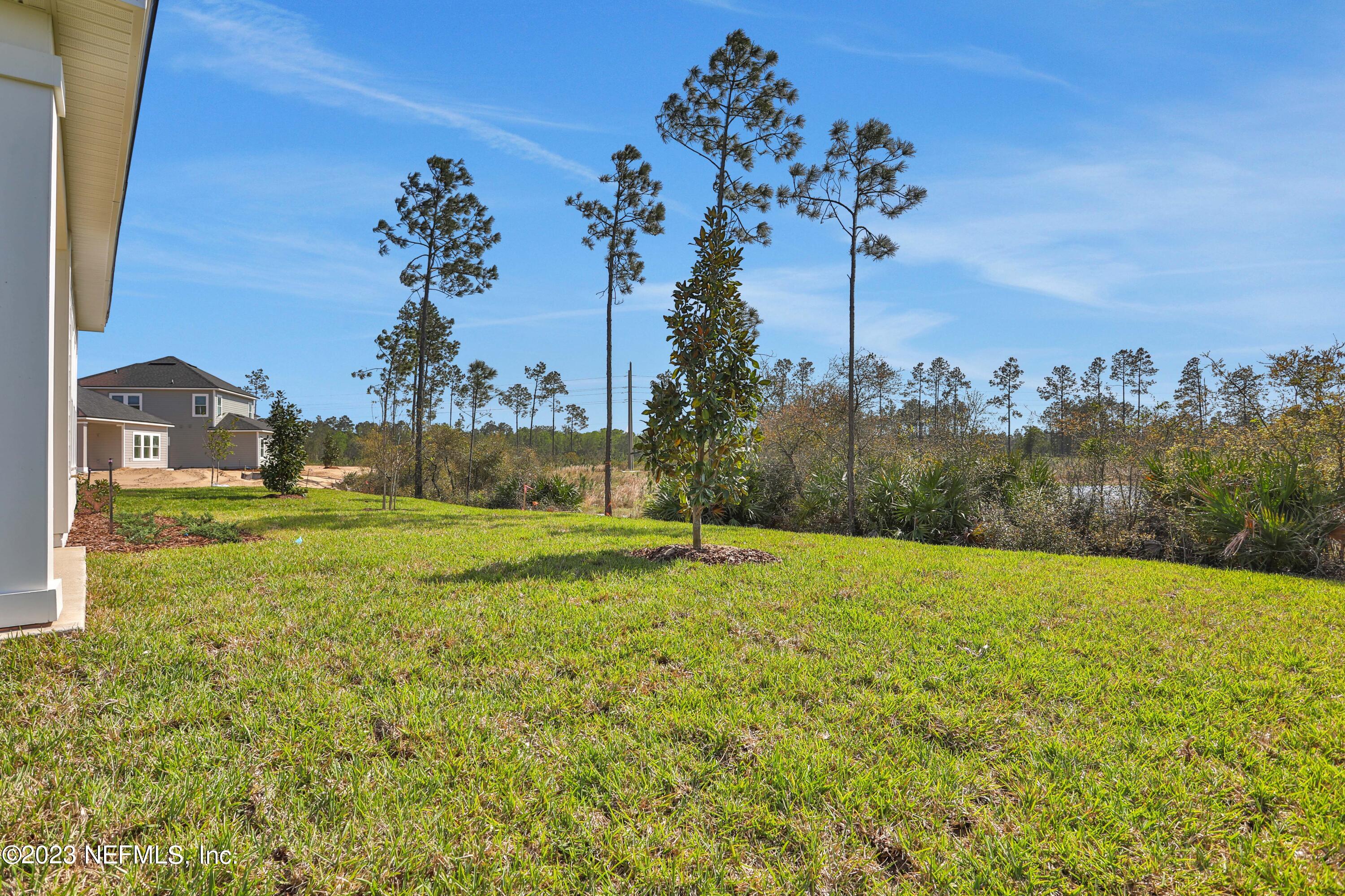 152 Torres Trace St. Augustine, FL 32095 - Photo 32 of 32 a view of big yard with a house