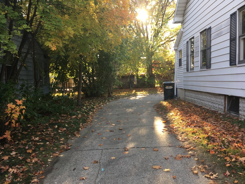 132 Windemere Street Springfield, MA 01104 - Photo 2 of 20 a view of a yard with plants and a large tree