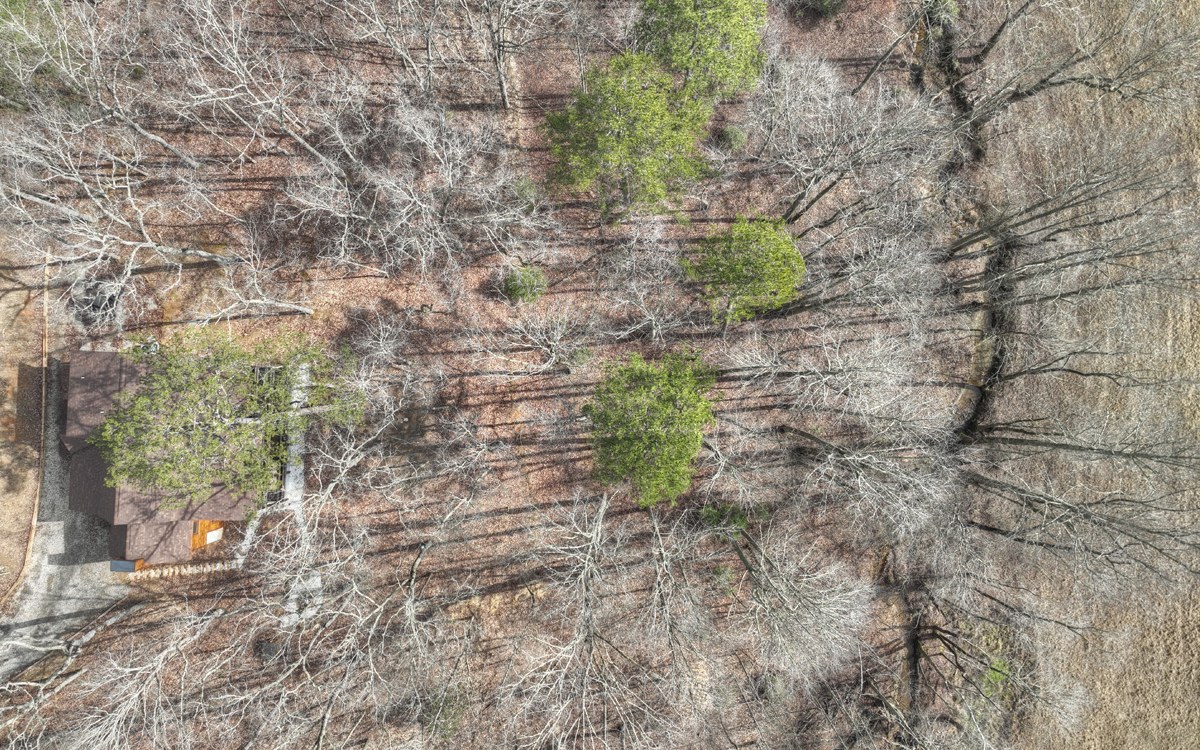 86 Windy Valley Lane Blue Ridge, GA 30513 - Photo 51 of 54 Additional View