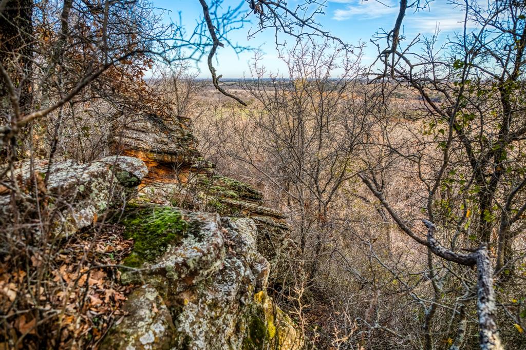 515 Reeves Road Graham, TX 76450 - Photo 12 of 40 a view of a yard with a tree