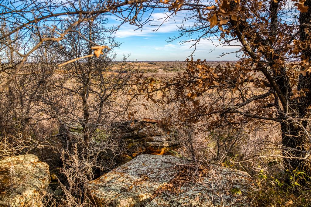 515 Reeves Road Graham, TX 76450 - Photo 13 of 40 a picture of trees