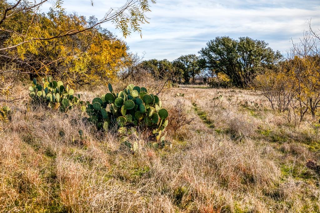 515 Reeves Road Graham, TX 76450 - Photo 16 of 40 a view of a yard