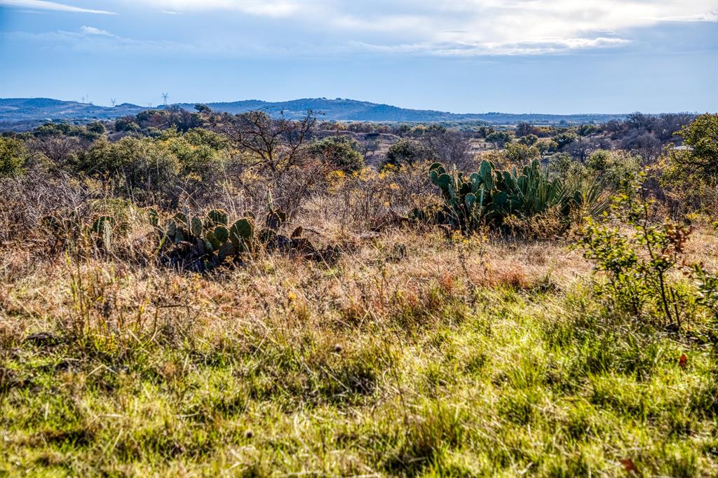 515 Reeves Road Graham, TX 76450 - Photo 19 of 40 a view of a city