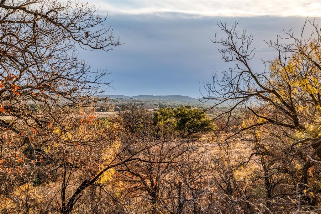 515 Reeves Road Graham, TX 76450 - Photo 4 of 40 a view of a forest with a tree