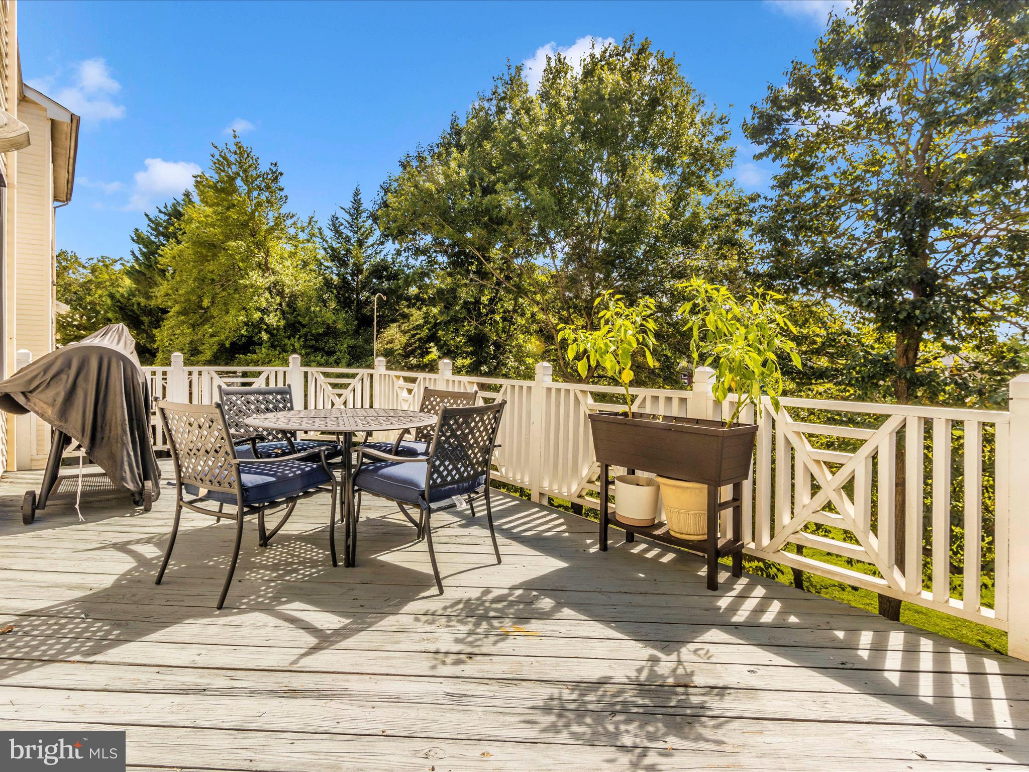 8422 Bells Ridge Terrace Potomac, MD 20854 - Photo 43 of 49 Deck