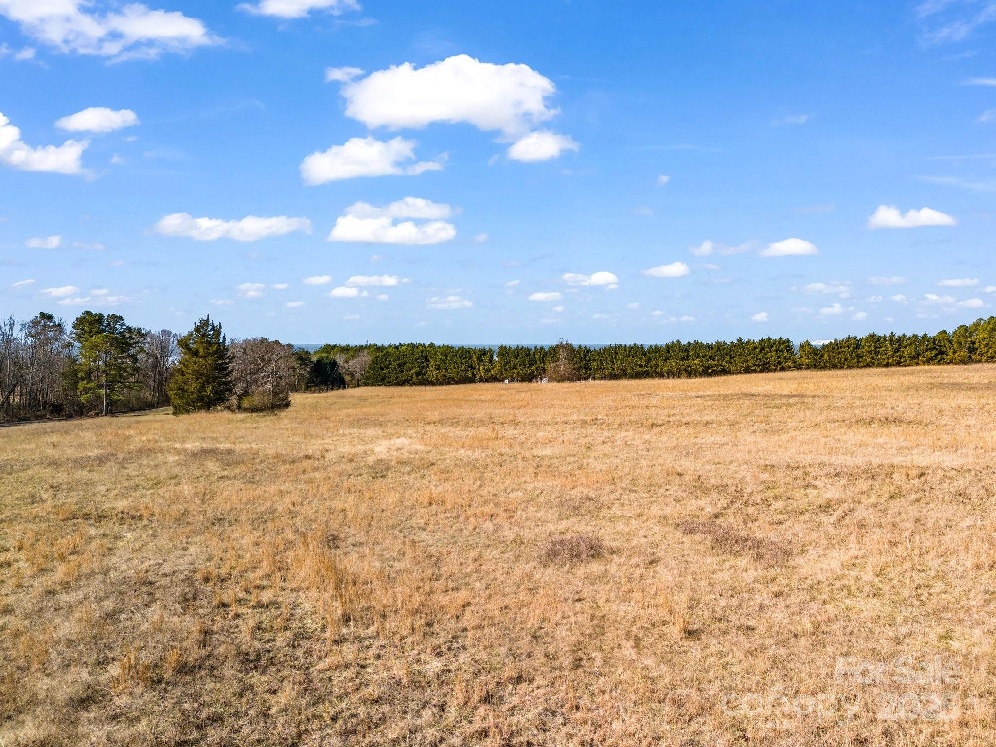 532 Harvey Logan Road Bostic, NC 28018 - Photo 11 of 48