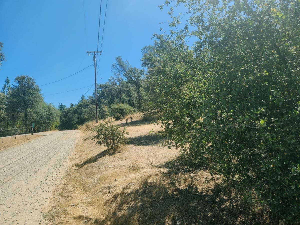 0 Texas Hill Road Oregon House, CA 95962 - Photo 21 of 32 a view of a yard with trees