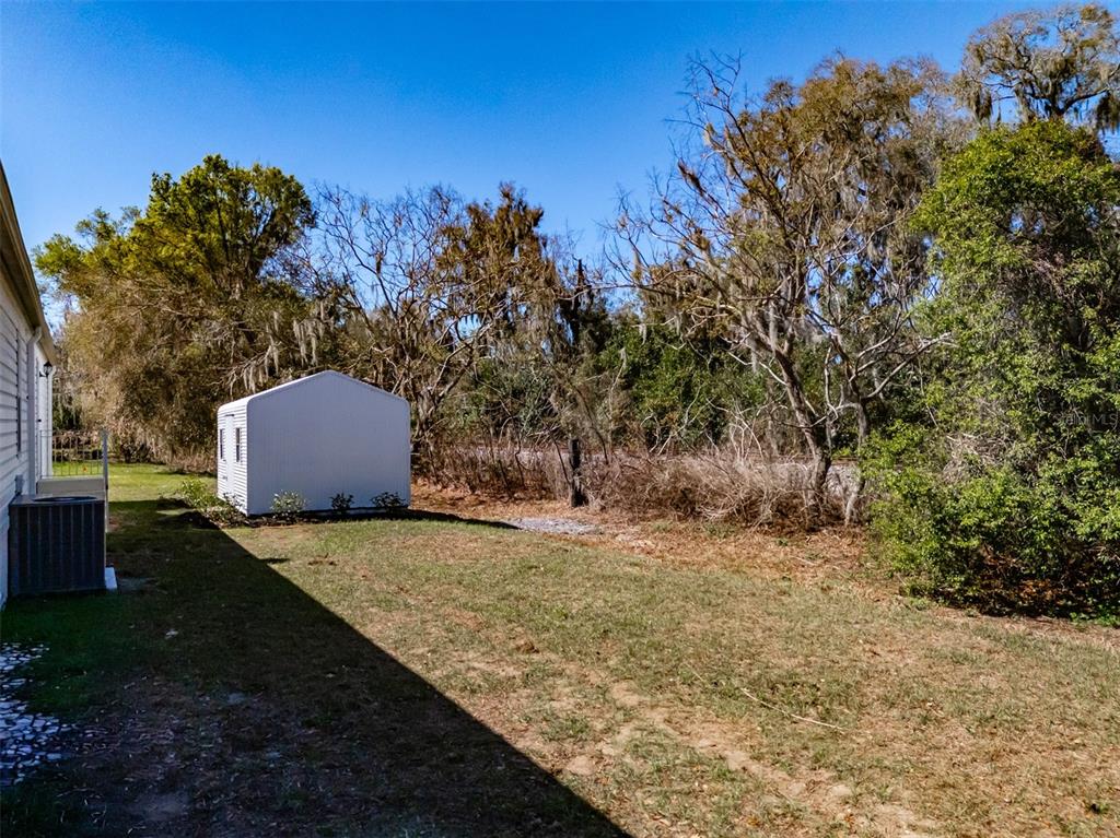 8301 Henry George Road Plant City, FL 33567 - Photo 48 of 51 a backyard of a house with lots of green space