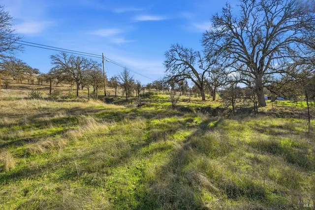 a view of a yard with a tree