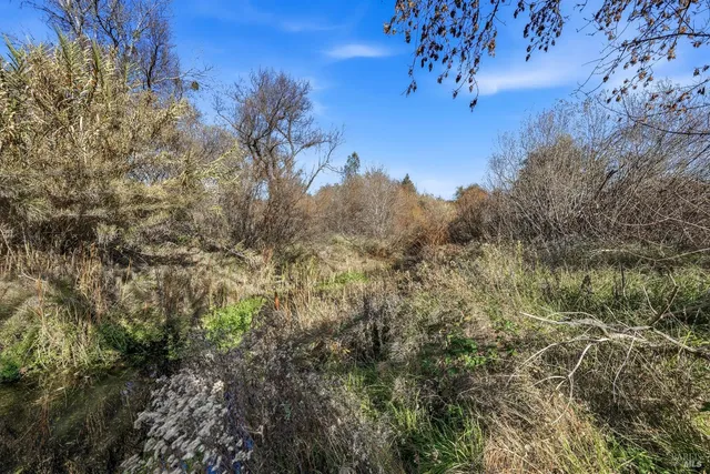 a view of a dry yard with trees