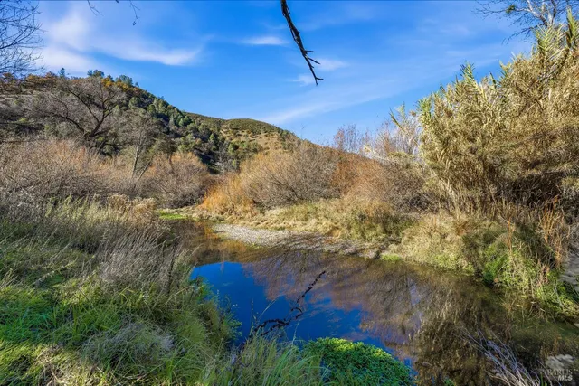 a view of a yard with an outdoor space