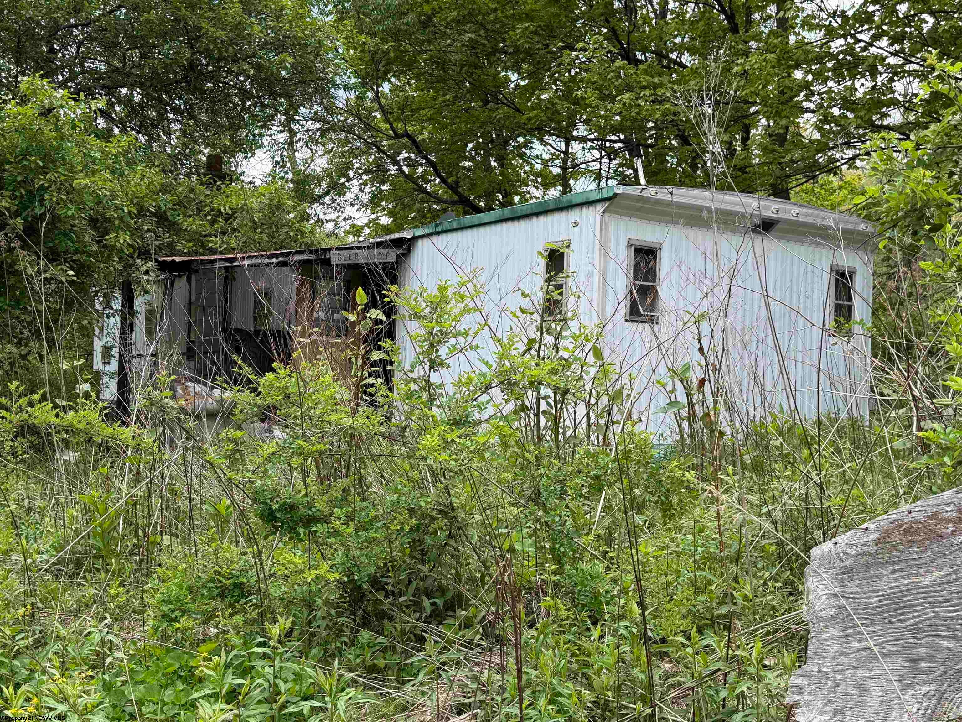 1154 Brady Gate Road Valley Head, WV 26294 - Photo 8 of 8 Gallery Image 8