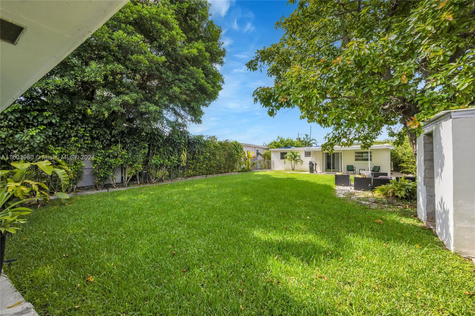 6335 Southwest 33rd Street Miami, FL 33155 - Photo 5 of 37 Backyard. Room for a pool. Large productive Avocado tree. Small CBS storage shed.