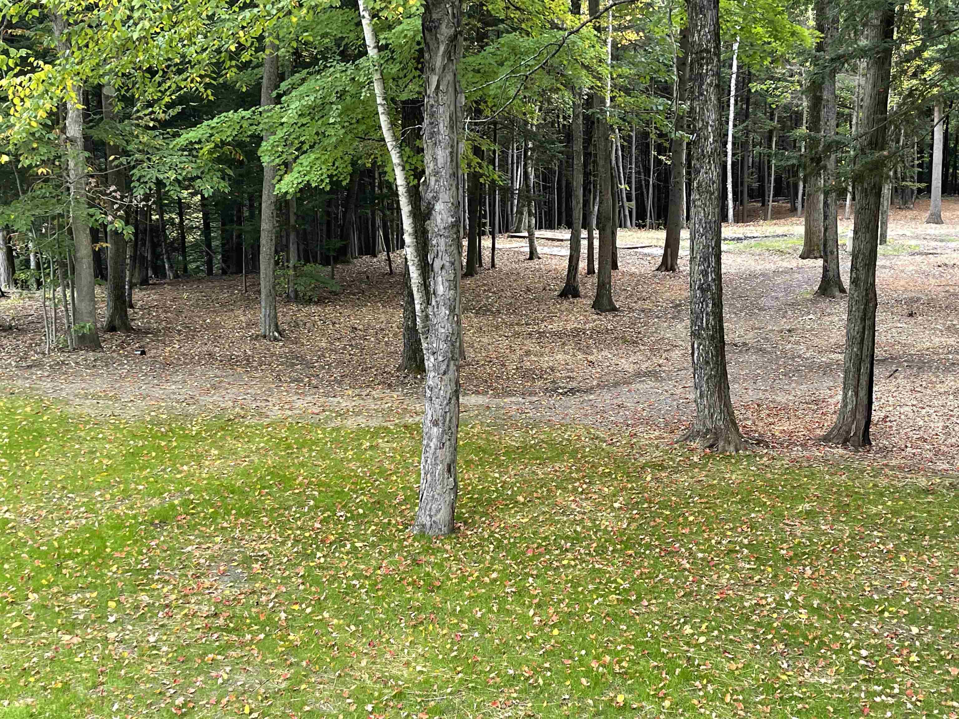66 Saltmarsh Pond Road, Unit B Gilford, NH 03249 - Photo 3 of 17 Gallery Image 3