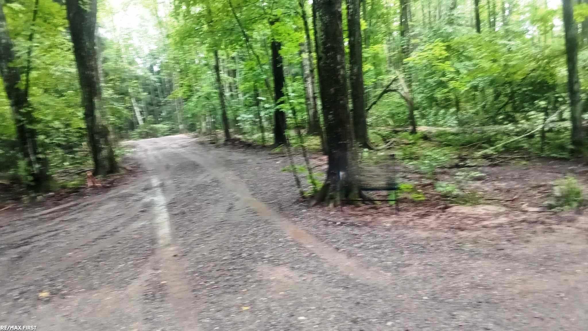 0 Engman Lake Access Road Skandia, MI 49885 - Photo 4 of 17
