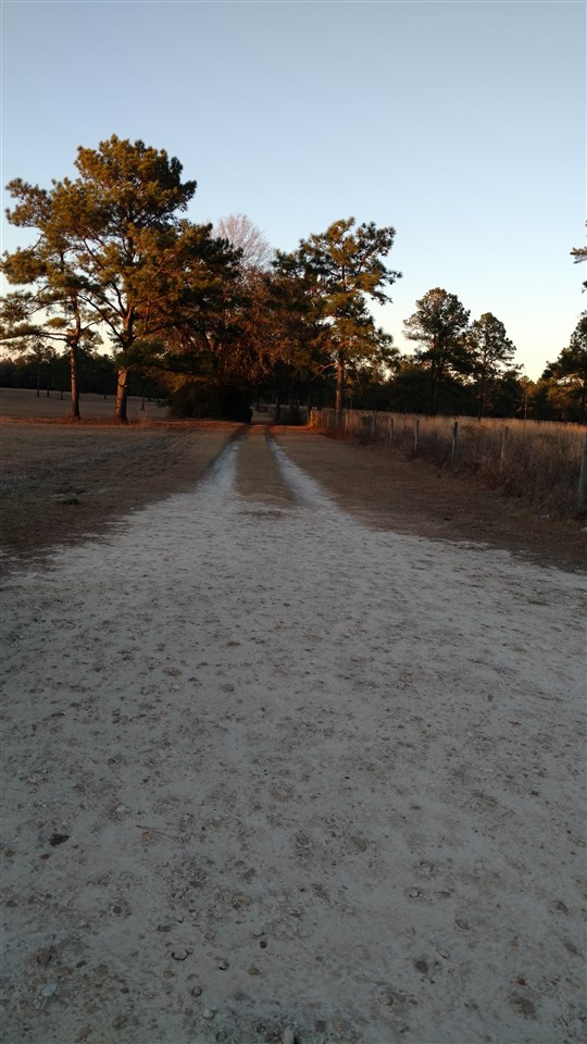 Unassigned Pisgah Road Perry, FL 32347 - Photo 1 of 3