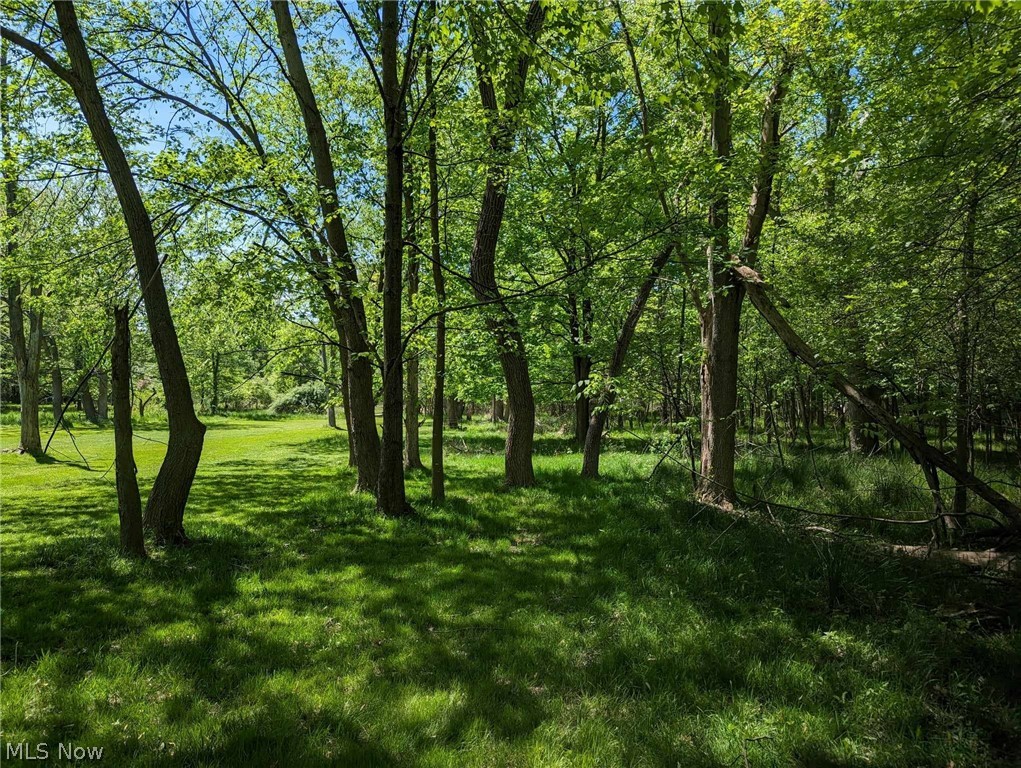V/l Trebisky Road Cleveland, OH 44143 - Photo 13 of 16