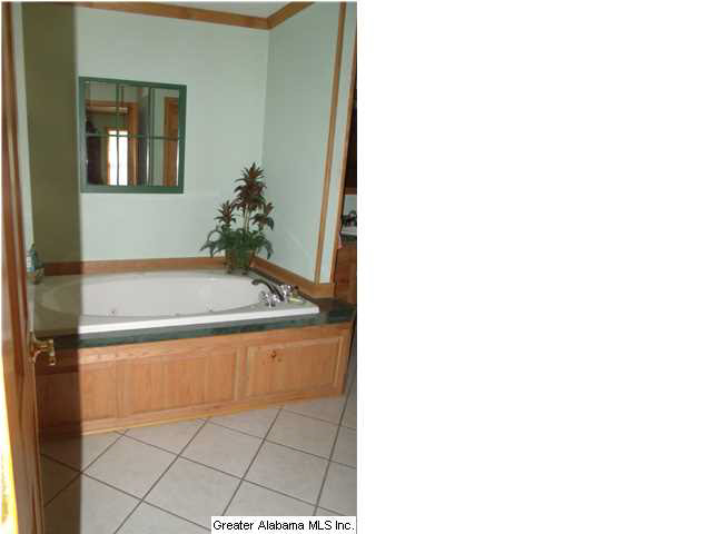 1090 Talladega Creek Road Talladega, AL 35160 - Photo 13 of 25