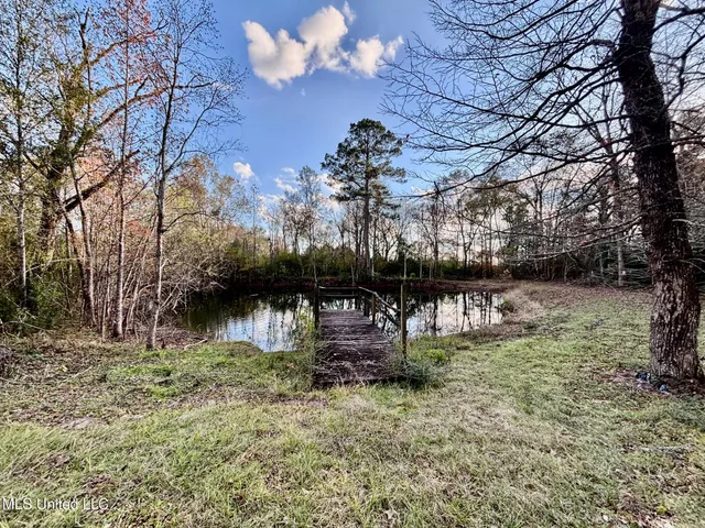$250,000 | 4190 Highway 44, Tylertown, MS 39667