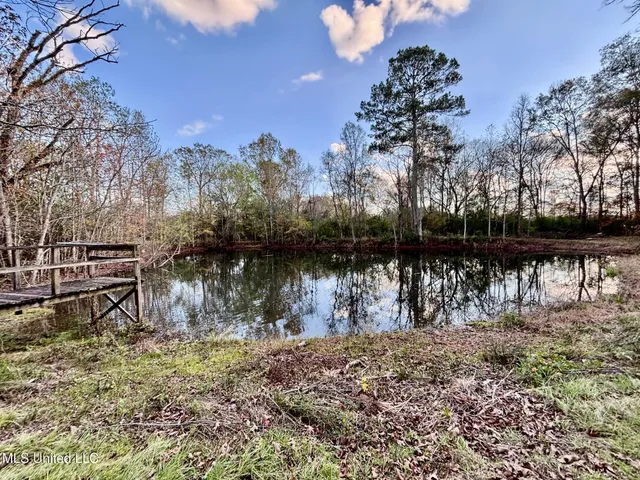 $250,000 | 4190 Highway 44, Tylertown, MS 39667