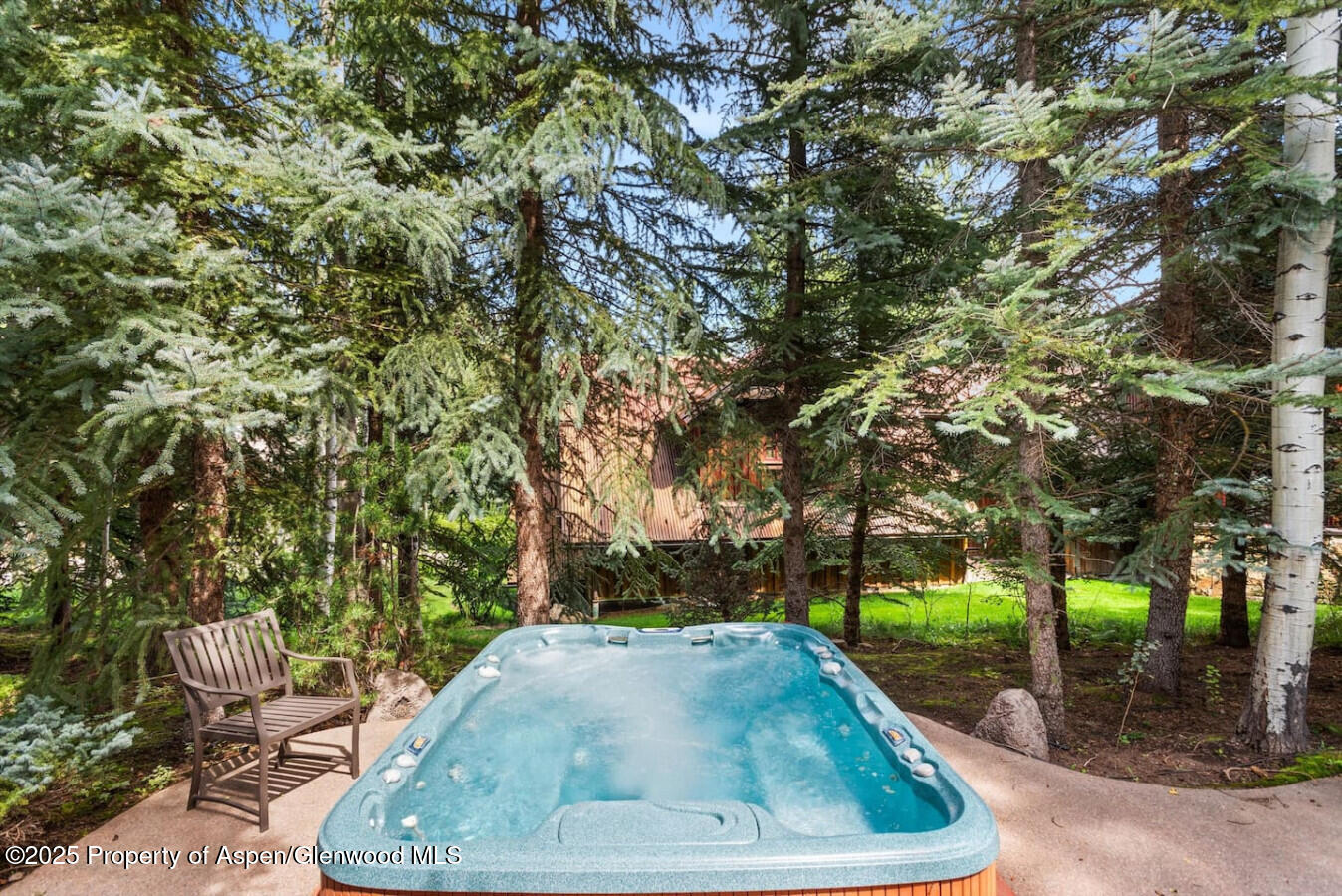 27 Timber Ridge Lane Snowmass Village, CO 81615 - Photo 10 of 40